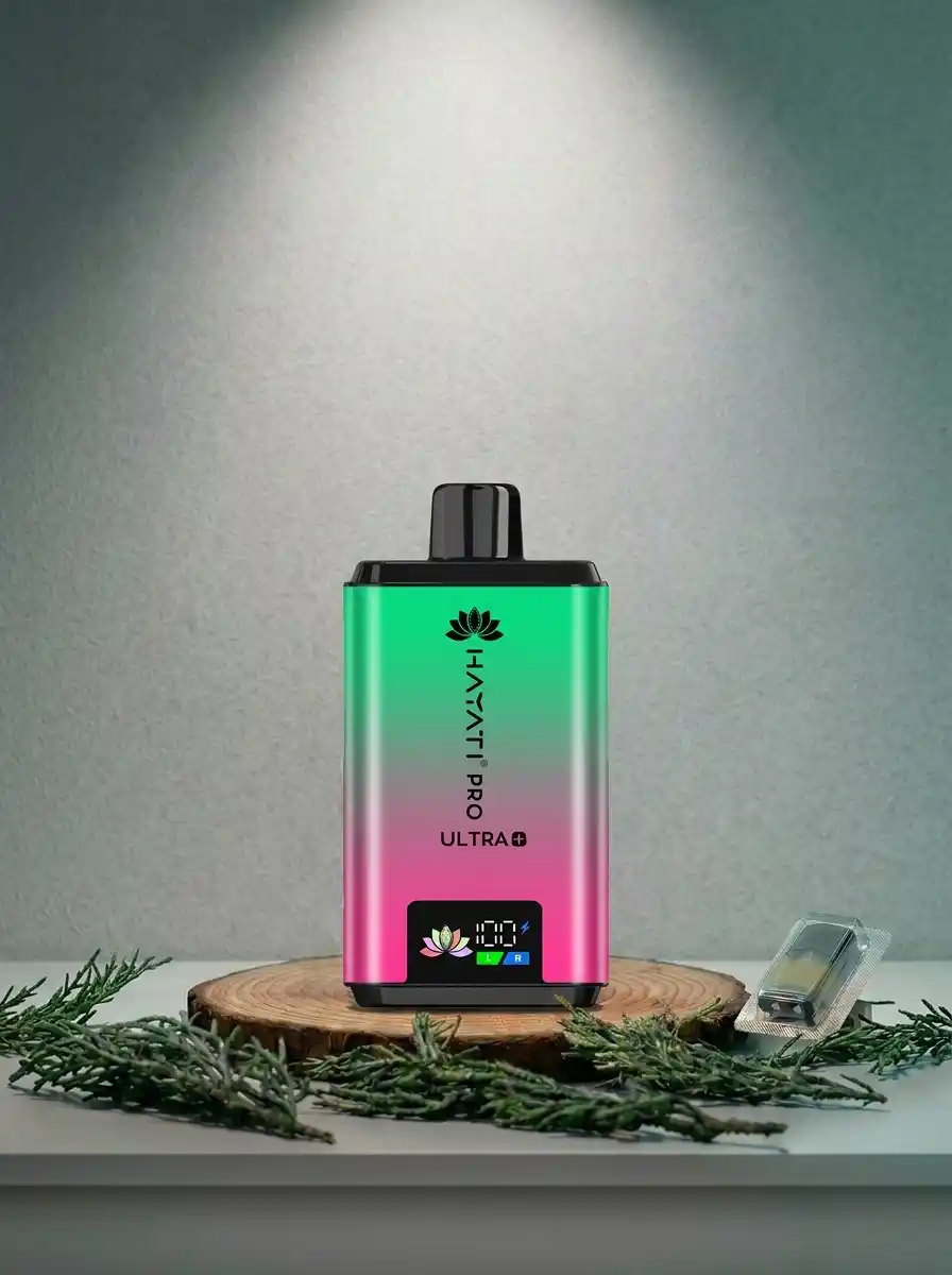 Big Puffs Vape Kits